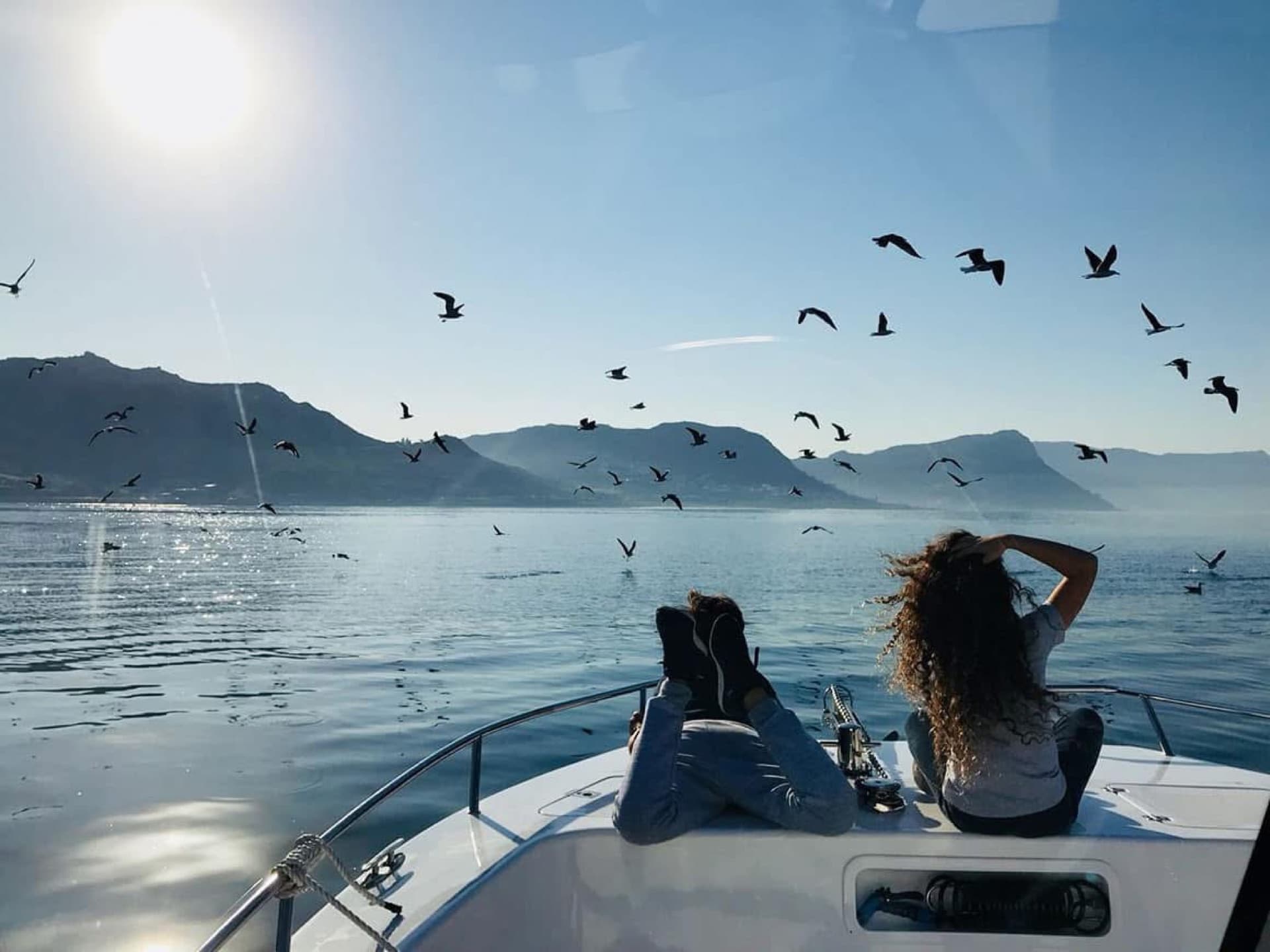 Guests relaxing on the bow on glassy water surrounded by seabirds